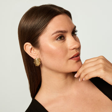 Arete Belina Dorado